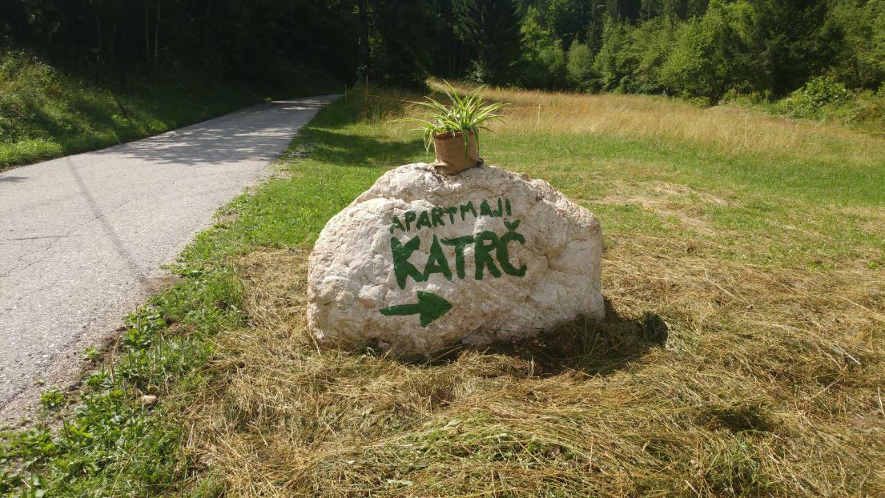 Apartmaji Katrc 索卡 外观 照片